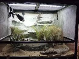 Pin By Reptilemaster On Tank Designs Terrarium Reptile Enclosure Grassland