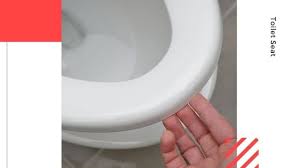 Best toilet brands that offer reliability, performance, and affordability. Best Toilet Seat Uk 2021 According To Experts