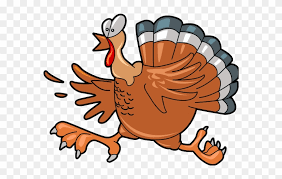 This plan will direct wild. Turkey Cliparts Cartoon Turkey Transparent Background Free Transparent Png Clipart Images Download