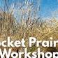 Pocket Prairie Workshop with Dropseed Native Landscapes