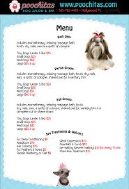 Below you can get an idea about aussie pet mobile prices. 5 Things You Won T Miss Out If You Attend Cheapest Pet Grooming Near Me Cheapest Pet Grooming Near Me The Expert