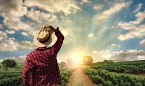 Συνολικά 10 σύγχρονες και άμεσα προσβάσιμες ηλεκτρονικές υπηρεσίες για τους αγρότες έχουν τεθεί σε λειτουργία, έως σήμερα, από τον ηλεκτρονικό εθνικό φορέα κοινωνικής ασφάλισης (), στο πλαίσιο της στρατηγικής του για. Agrotes Aytes Einai Oi 10 Hlektronikes Yphresies Toy E Efka Permissos Gr