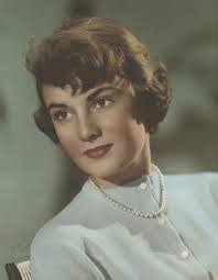 Jesse Vitale's Instagram, Twitter & Facebook