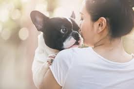 Naming your french bulldog puppy. 10 Cool Boy Dog Names