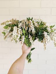 As one of brisbane's premium florists, our passion is creating beautiful bouquets and displays to make you smile. Market Bunch Lillipollen