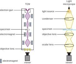 instruments of microscopy microbiology