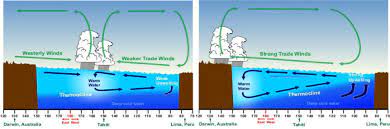 El niño and la niña can both have global impacts on weather, wildfires, ecosystems, and economies. What Happens During El Nino And La Nina Events Pirca