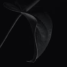 Artizan3 Blacker Than Black Black Backdrops Fade To Black