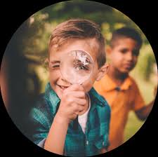 Background Methods Implications for practice Summary of findings Nurses'  and midwives' core attributes for safeguarding chil