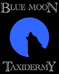 Quotes About Blue Moon 70 Quotes