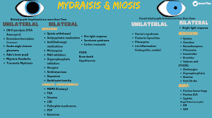 Image result for Mydriasis