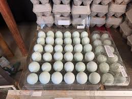 Still offering my farm fresh eggs medium eggs are $5 large are $6 and jumbo  eggs are $7 a dozen please message me for times and location