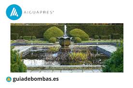 We did not find results for: Como Elegir Una Bomba De Agua Para Fuente Guiadebombas