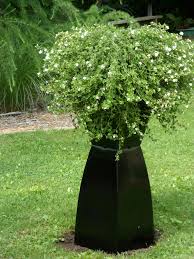 Bird Bath Well Pump Cover Pin By Karen Price On Gardening Ideas Septic Tank Covers Well Pump Cover Well Pump