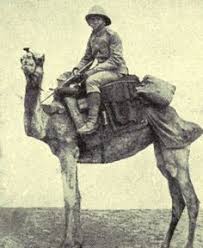 Enwiki battle of the camel. Camel Corps