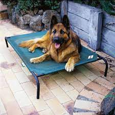 Vendo cuccia per cane taglia media grande con tetto apribile rivestita con fogli di alluminio per essere protetta dalle. Parana River Solidarieta Adatto Brandine Cane Alvarogarcialinera Org