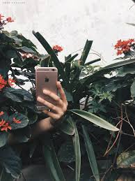 Alternative aesthetic dark edition universe vintage void black collage neon unfiltered vibrant dreams. Photo Diary Metanoia Aesthetic Photography Tumblr Flower Photo