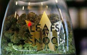 There is nothing artificial about snoop or lbs. Toronto Maple Leafs Say The Leafs By Snoop Logo Is Too Close For Comfort The Marijuana Times