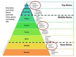 notes chart perfume recipes perfume scents homemade perfume