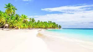 One of the most stylish tours in punta cana is the punta cana mini cooper tour. Best Bavaro Bus Minivan Tours Top Rated Of Dominican Republic In 2021 Getyourguide