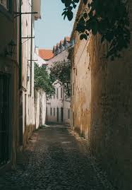 Troy Ali Photography