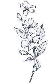 Notitle Easy Flower Drawings Flower Drawing Design Flower Drawing