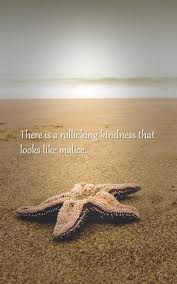 Kindness quotes can lead you down the path of being a kinder, more compassionate person. There Is A Rollicking Kindness That Looks Like Malice