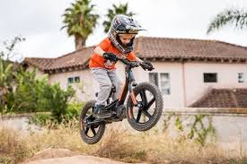 Electric dirt bike models in development (cr electric). 21 Best E Bikes Electric Motorcycles You Can Buy In 2021