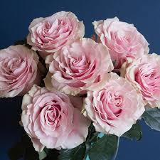 Pink flowers are used as a symbol of love and awareness. Popular Pink Rose Varieties Flowerlink