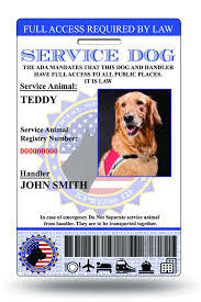 Fully Personalized To Your Credentials Free Registry Number Http Usserviceanimalregistry Org Size 2 20 X Service Dogs Emotional Support Dog Dog Id
