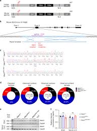 Selective Neuronal Degeneration In MATR3 S85C Knock-in Mouse Model Of  Early-stage ALS | Nature Communications