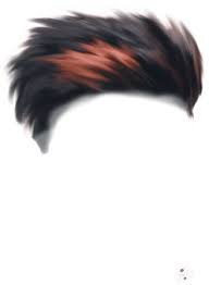 Png Download For Picsart Google Search Hair Png Photoshop Hair Light Background Images
