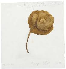 Drawings served as the energy source from which joseph beuys derived his inspiration for his work in all from the time be began making drawings in the late 1940s until his death in 1986, beuys. The Other Joseph Beuys The Drawings Of The Myth Making Action Artist Artland Magazine