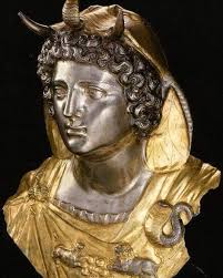 Image result for Cleome iberidella