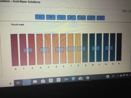 ★ ★ acids and bases litmus paper lab ★ ★ this activity supports students through a guided lab in being able to recognize an acid or a base, reading litmus paper, and reading ph paper. Ter 16 Simulation Acid Base Solutions 28 Part In Chegg Com