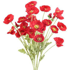 Son nom latin est le papaver rhoeas. 6pcs Fleur Artificielle Rouge Coquelicot Bouquet Fleur Artificielle En Soie Pour Dco Fte De Nol Vase Maison Table Hiver60cm 355 Cdiscount Maison