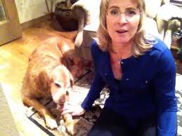 In older cats the most common causes of bad breath. Healing Dogs Cats Of Gas Bad Breath Youtube