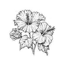 Learning How To Draw And Watercolor Flowers Can Be Tricky They Come In So Many Shapes And Colo Hibiscus Flower Tattoos Hibiscus Flower Drawing Flower Sketches