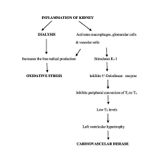 Cureus Dialysis A Review Of The Mechanisms Underlying