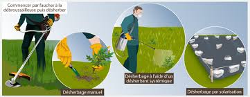 Semer pelouse sans retourner terre. Preparer Le Terrain Pour Une Pelouse