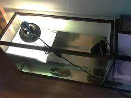 Basking dock really is about functionality. Homemade Styrofoam Basking Platform D Beneath The Water