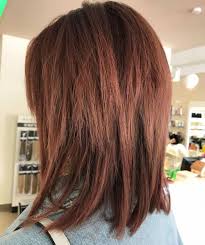 60 Most Universal Modern Shag Haircut Solutions Modern Shag Haircut Thick Hair Styles Shag Haircut