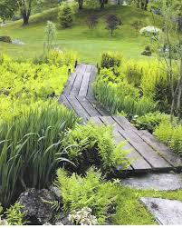 Pin By Aisling Nic Aibhistin On Gardens Rain Garden Design Bog Garden Rain Garden