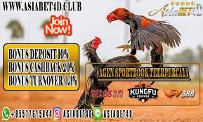 Foto Promo Animals Chicken