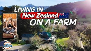 Menceritakan kisah cinta diam diam antara istri boss dan bawahan suaminya. Living In New Zealand On A Farm Rai Valley Sustainable Homestead Tour 197 Countries 3 Kids 42 11 Mb 30 40 Wlstiv Mp3