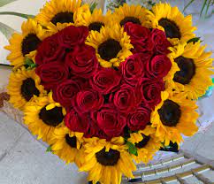 0 watchers143 page views1 deviation. Sunflower Love In Watsonville Ca D Lily S