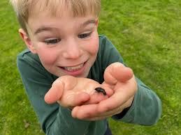 Emma Adler (@emmacadler)