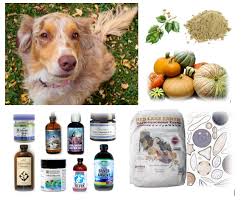 Pumpkin is a relatively easy and safe additive, maggiolo assures. Ottawa Valley Dog Whisperer Dog Behaviourist Wellness Adviser Natural Treatment For Diarrhea In Dogs Cats What You Should Do What You Should Not Do And Some Common Causes