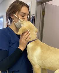 Our veterinary office is very easy to get to, and you can find directions on our contact us page. The Pet Advocate