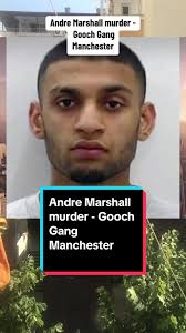 Anderson and Marshall Funeral Home Manchesyer Ga